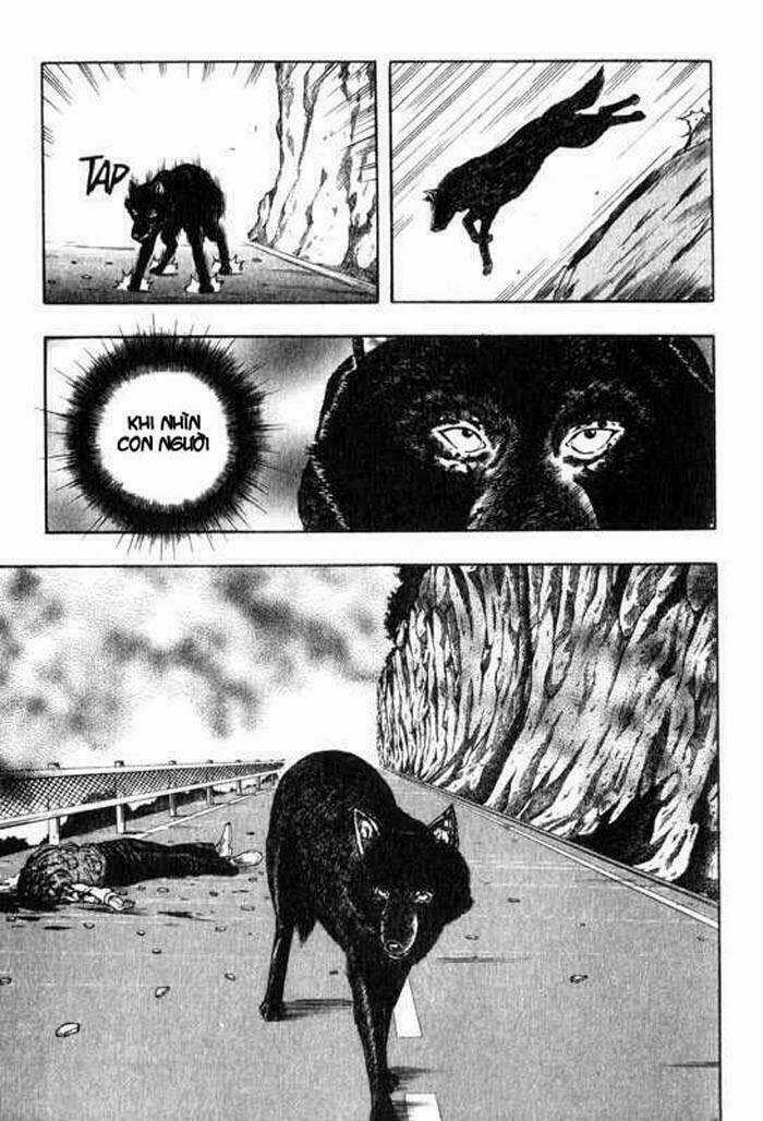 Inugami Chapter 5 trang 19