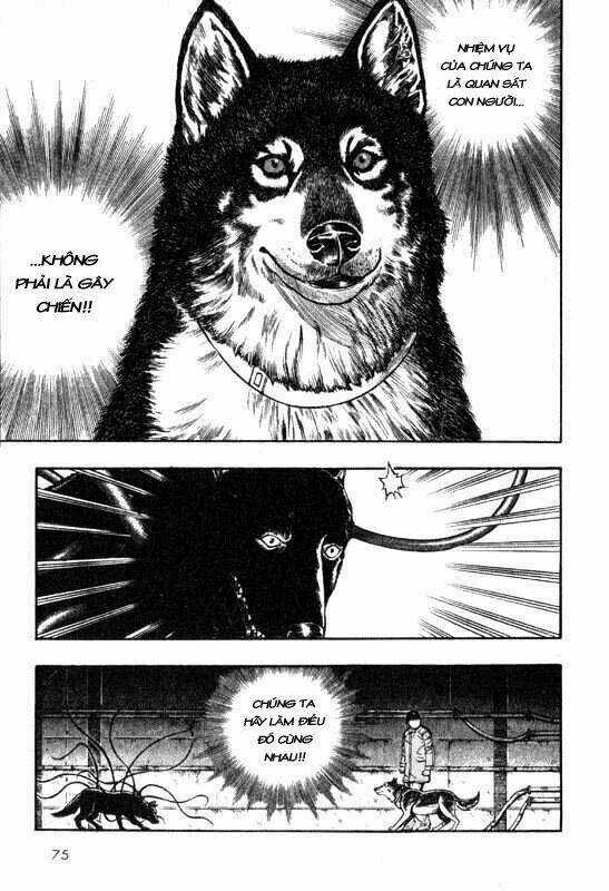 Inugami Chapter 6 trang 35