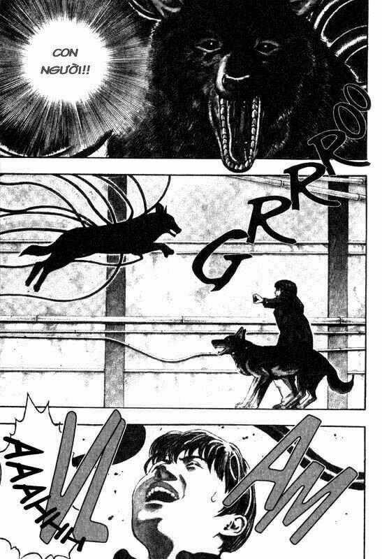 Inugami Chapter 6 trang 37