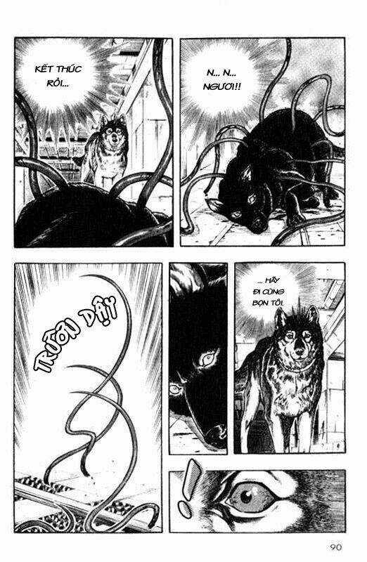 Inugami Chapter 7 trang 12