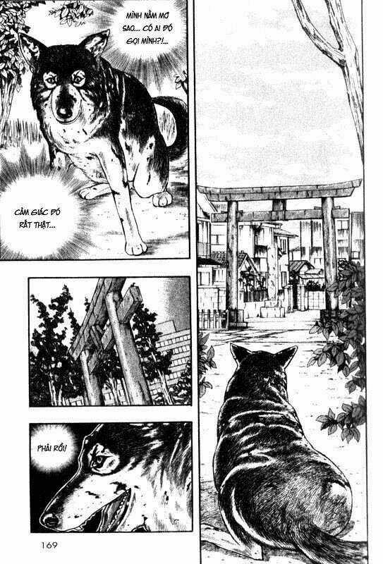 Inugami Chapter 9 trang 10