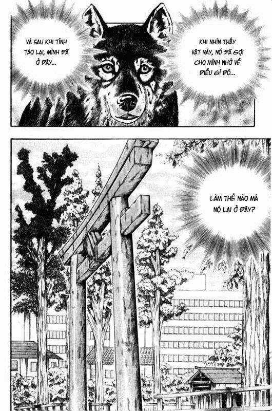 Inugami Chapter 9 trang 11