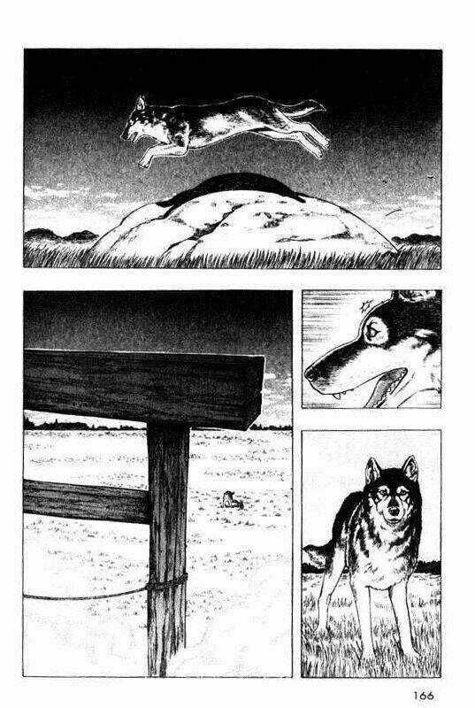 Inugami Chapter 9 trang 7