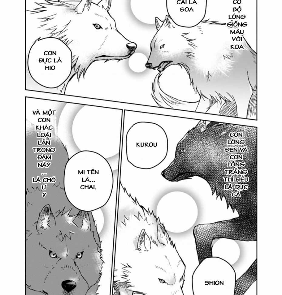 Isekai Ni Otosaretara... Jouka Wa Kihon! - Rơi Vào Dị Giới, Tôi Chủ Yếu Đi Thanh Tẩy! Chapter 3 trang 28