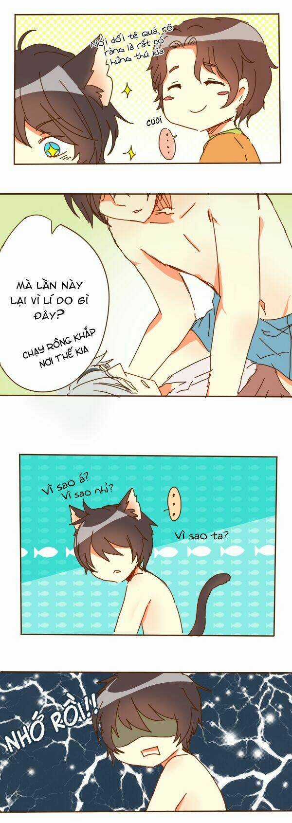 It's A Wonderful Life! Chapter 1 trang 13