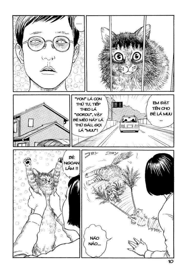 Ito Junji Cat's Diary Chapter 1 trang 13