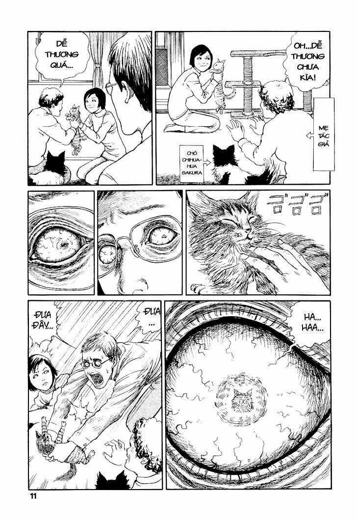 Ito Junji Cat's Diary Chapter 1 trang 14
