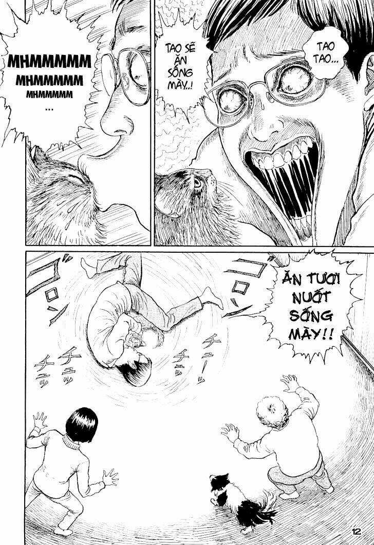 Ito Junji Cat's Diary Chapter 1 trang 15