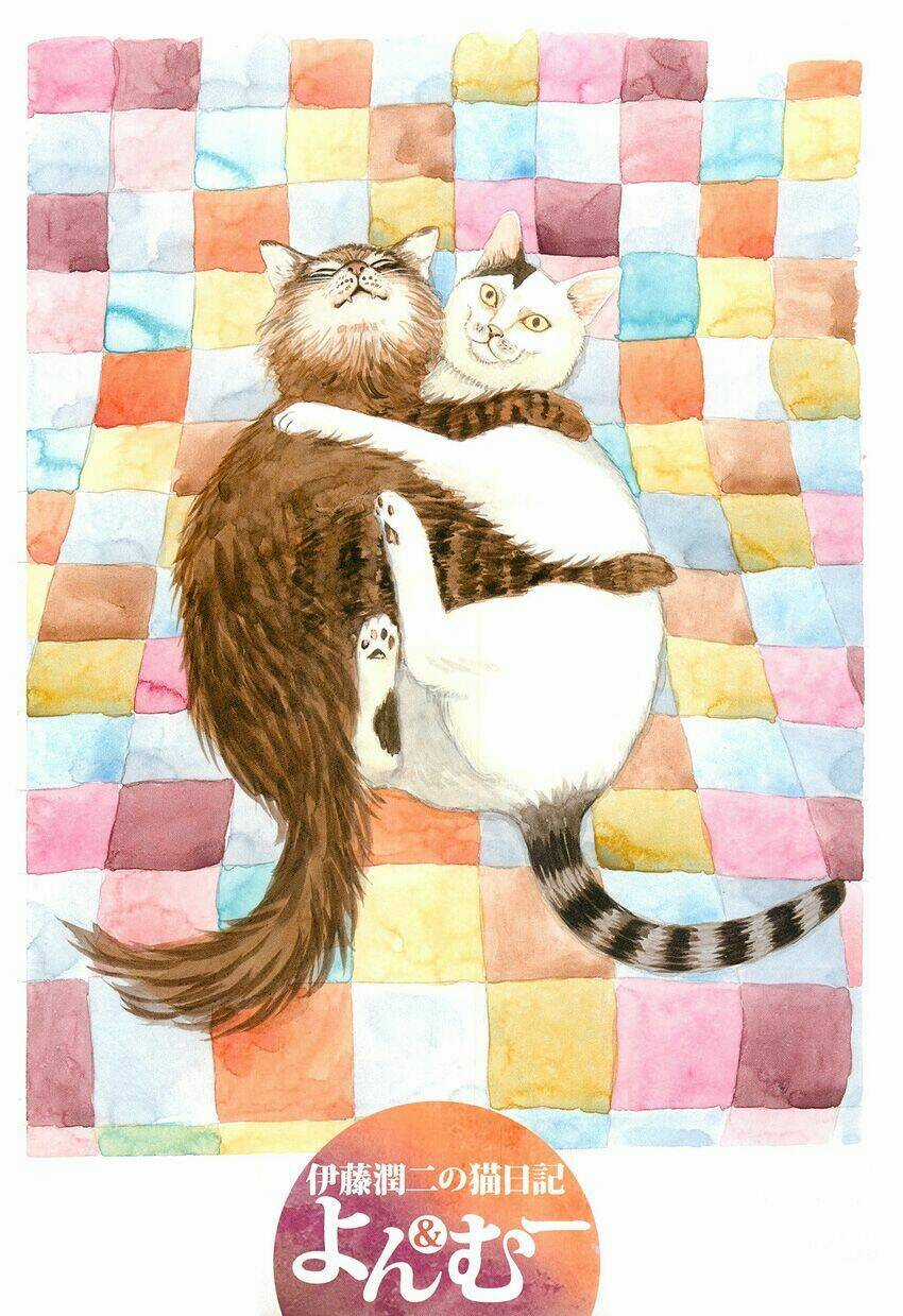 Ito Junji Cat's Diary Chapter 1 trang 4