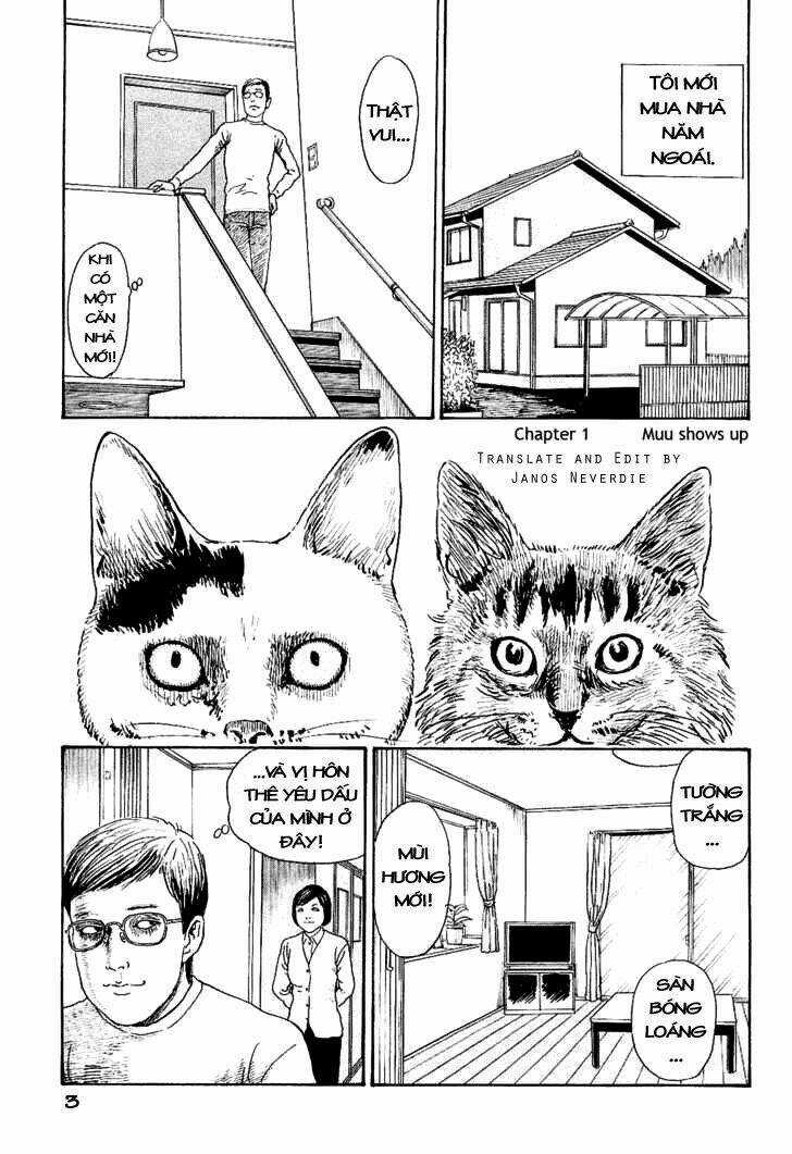 Ito Junji Cat's Diary Chapter 1 trang 6