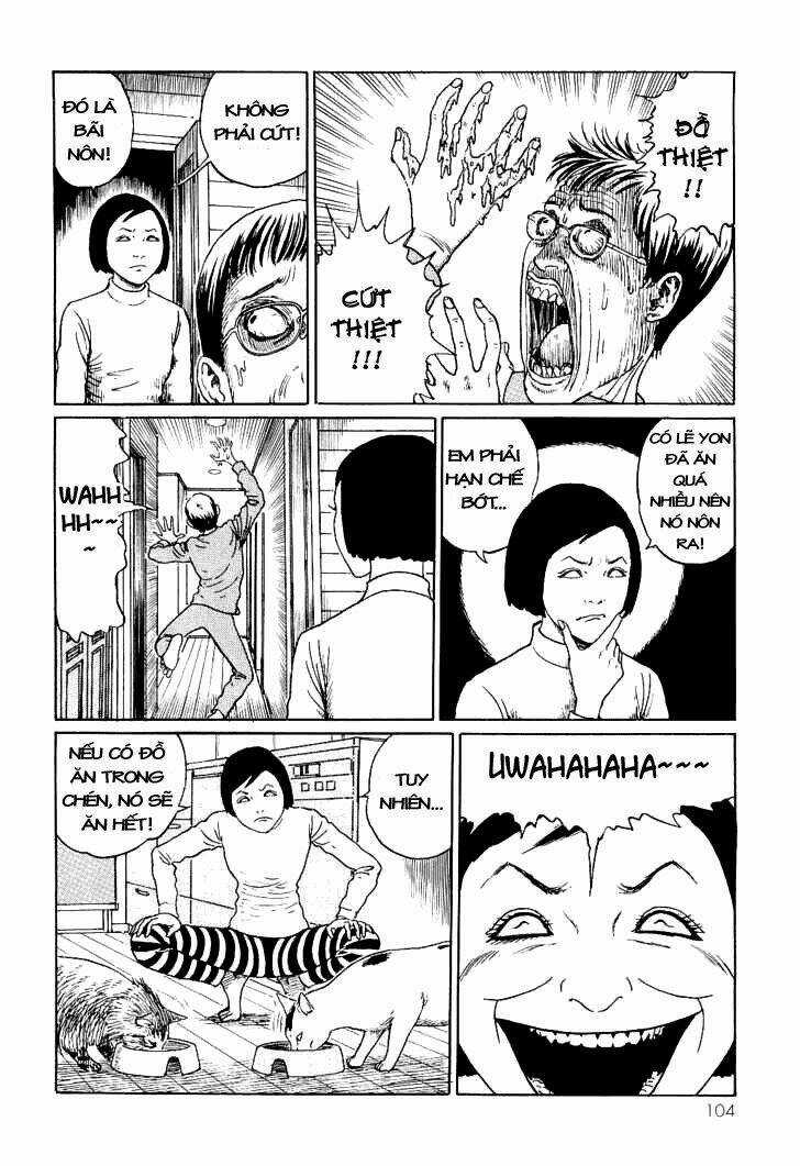 Ito Junji Cat's Diary Chapter 10 trang 3