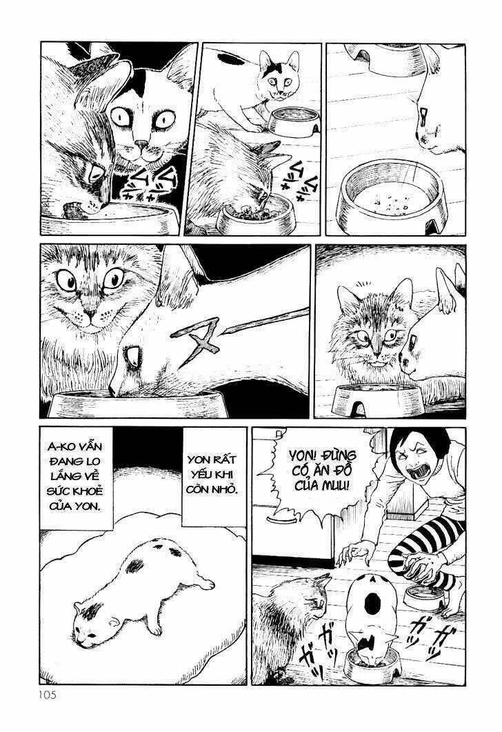 Ito Junji Cat's Diary Chapter 10 trang 4