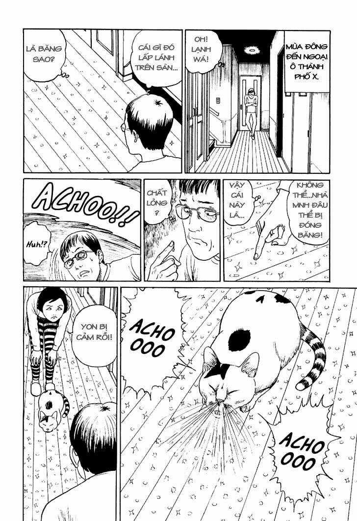 Ito Junji Cat's Diary Chapter 10 trang 5
