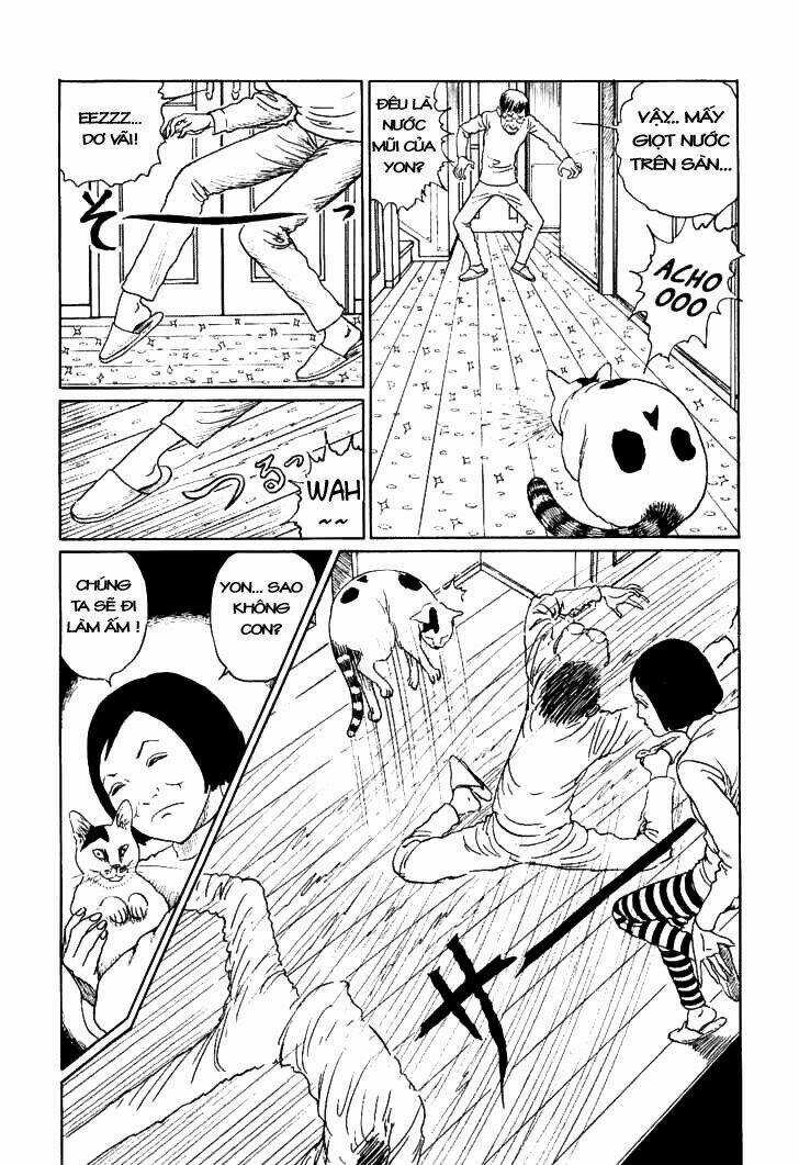 Ito Junji Cat's Diary Chapter 10 trang 6