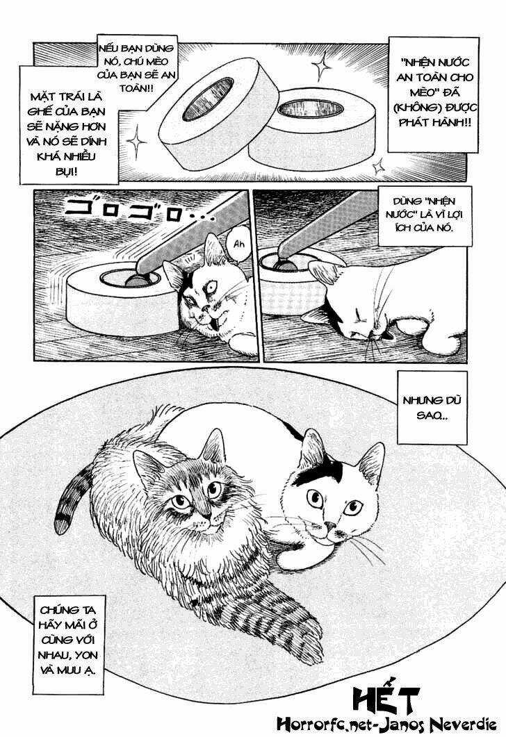 Ito Junji Cat's Diary Chapter 10 trang 9
