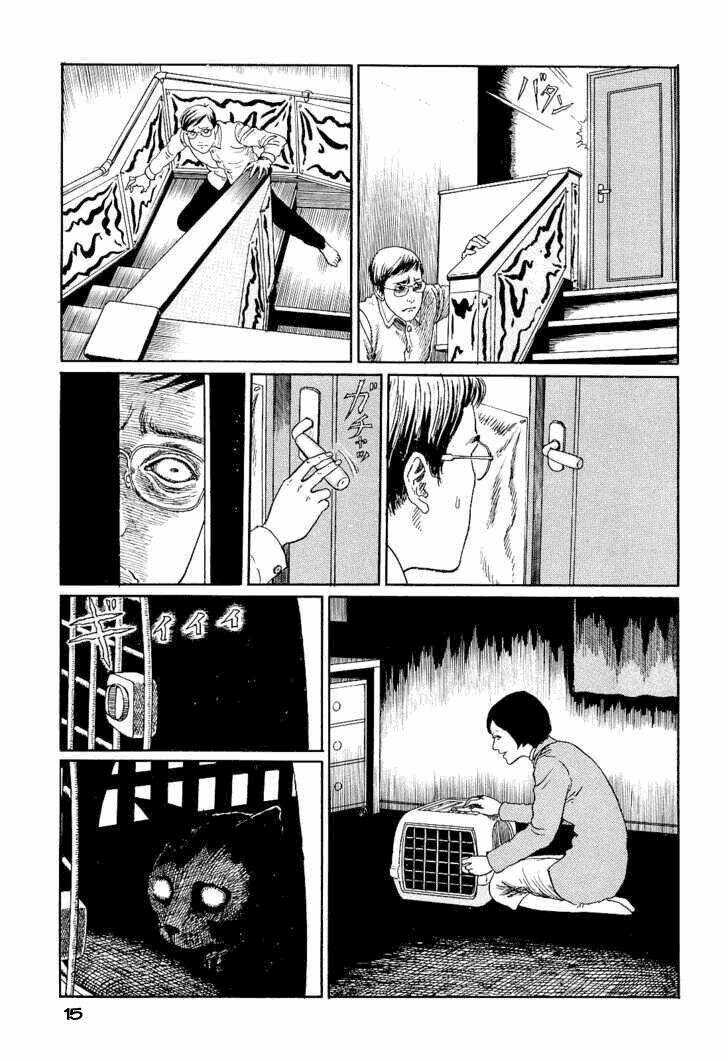 Ito Junji Cat's Diary Chapter 2 trang 2