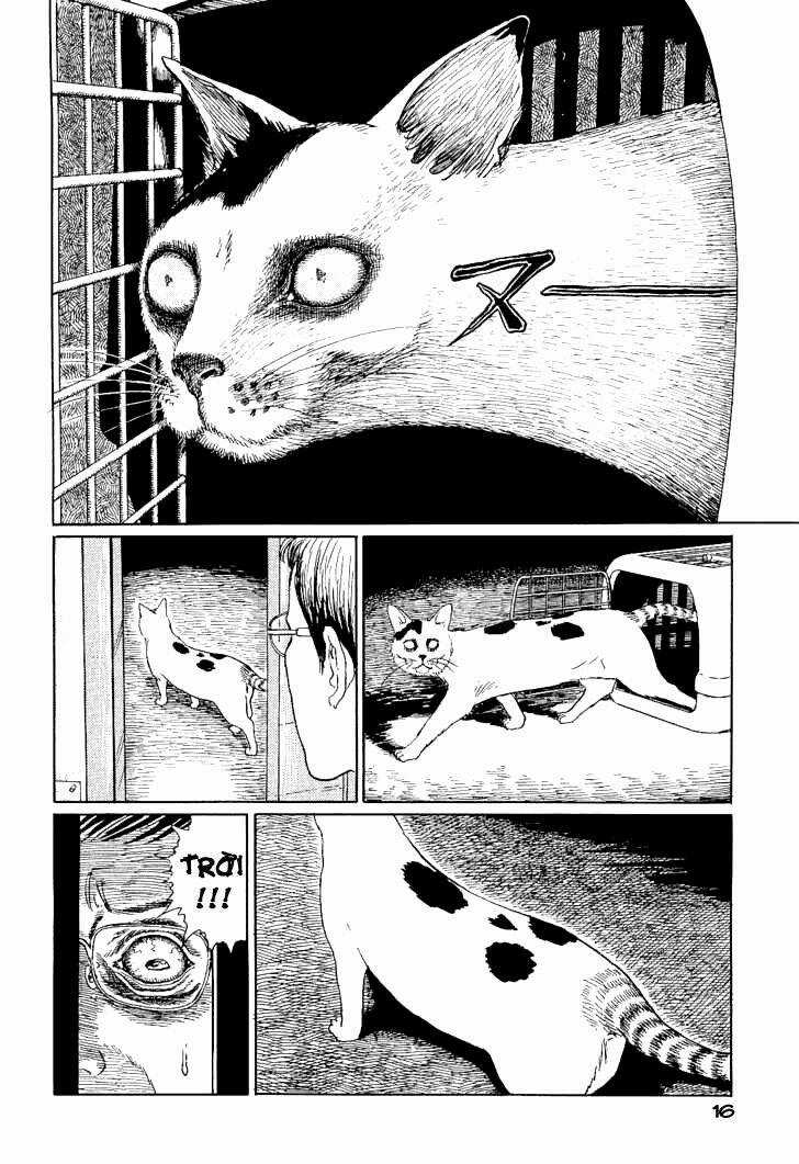 Ito Junji Cat's Diary Chapter 2 trang 3