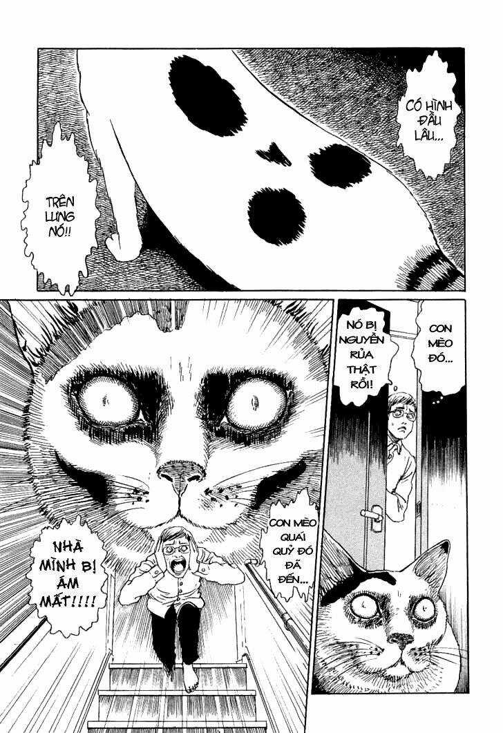 Ito Junji Cat's Diary Chapter 2 trang 4