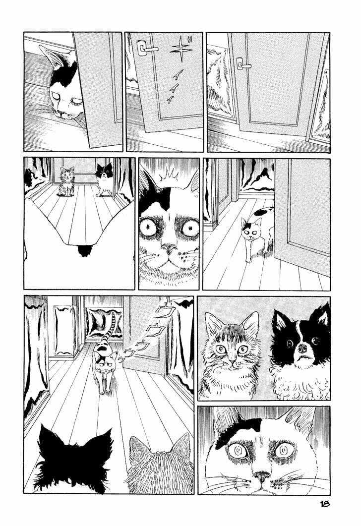 Ito Junji Cat's Diary Chapter 2 trang 5