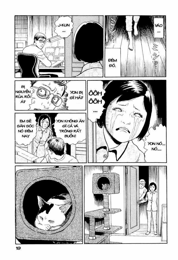 Ito Junji Cat's Diary Chapter 2 trang 6