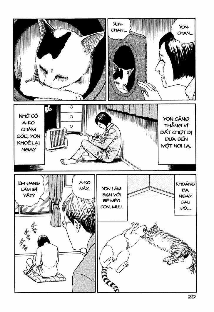 Ito Junji Cat's Diary Chapter 2 trang 7