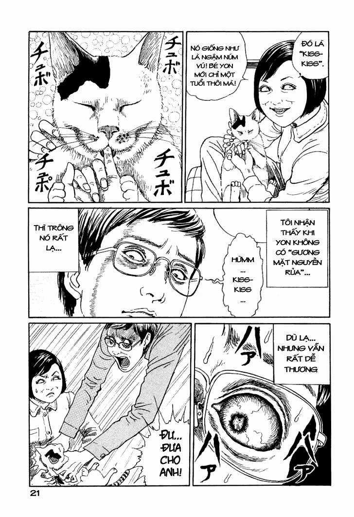 Ito Junji Cat's Diary Chapter 2 trang 8