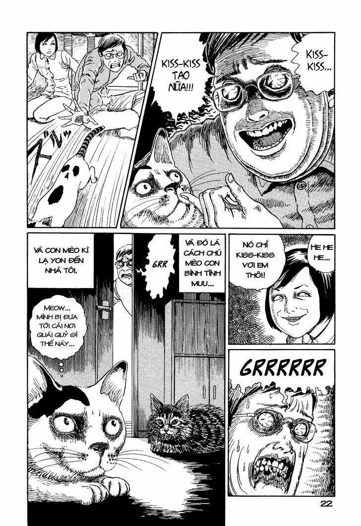 Ito Junji Cat's Diary Chapter 2 trang 9