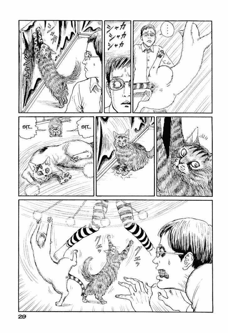 Ito Junji Cat's Diary Chapter 3 trang 4