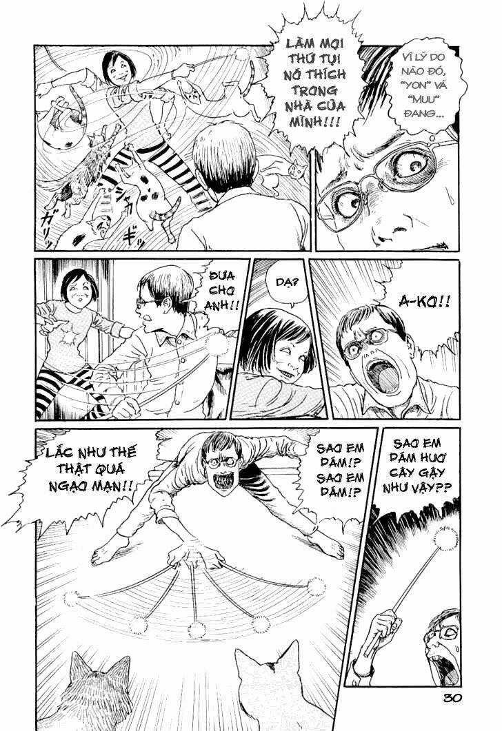 Ito Junji Cat's Diary Chapter 3 trang 5