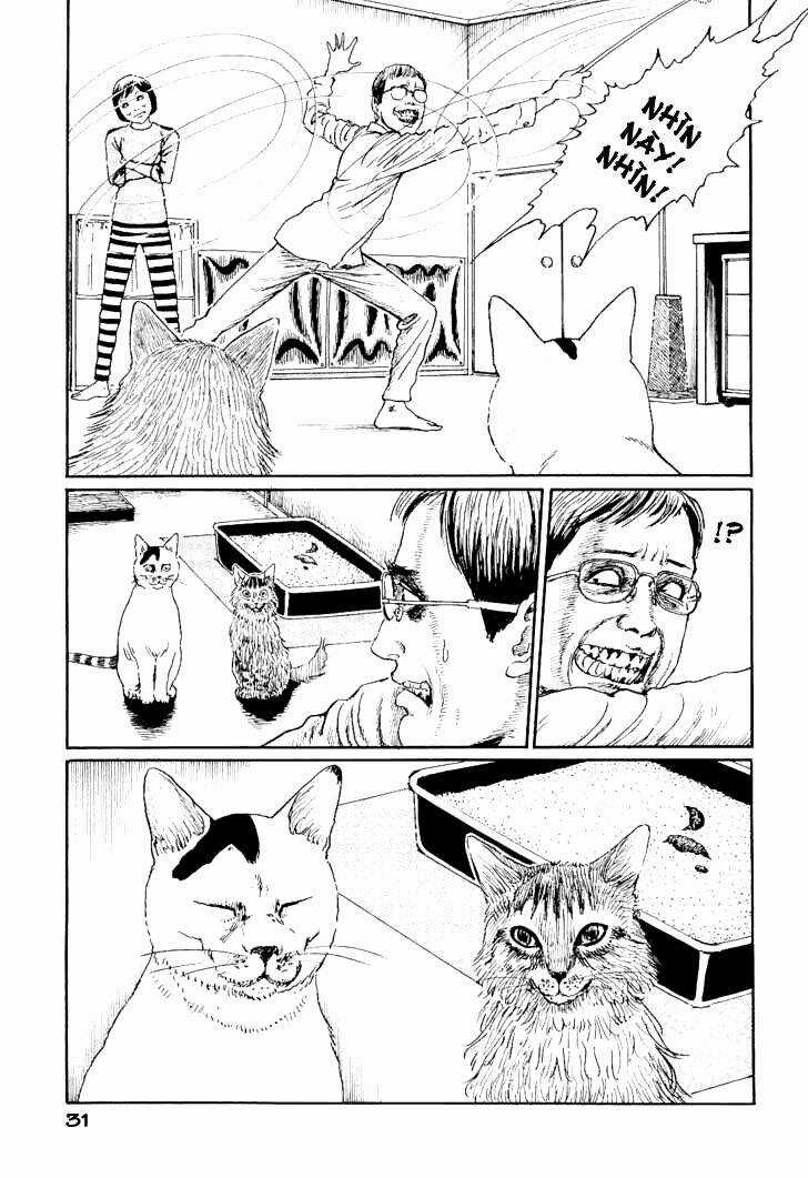 Ito Junji Cat's Diary Chapter 3 trang 6