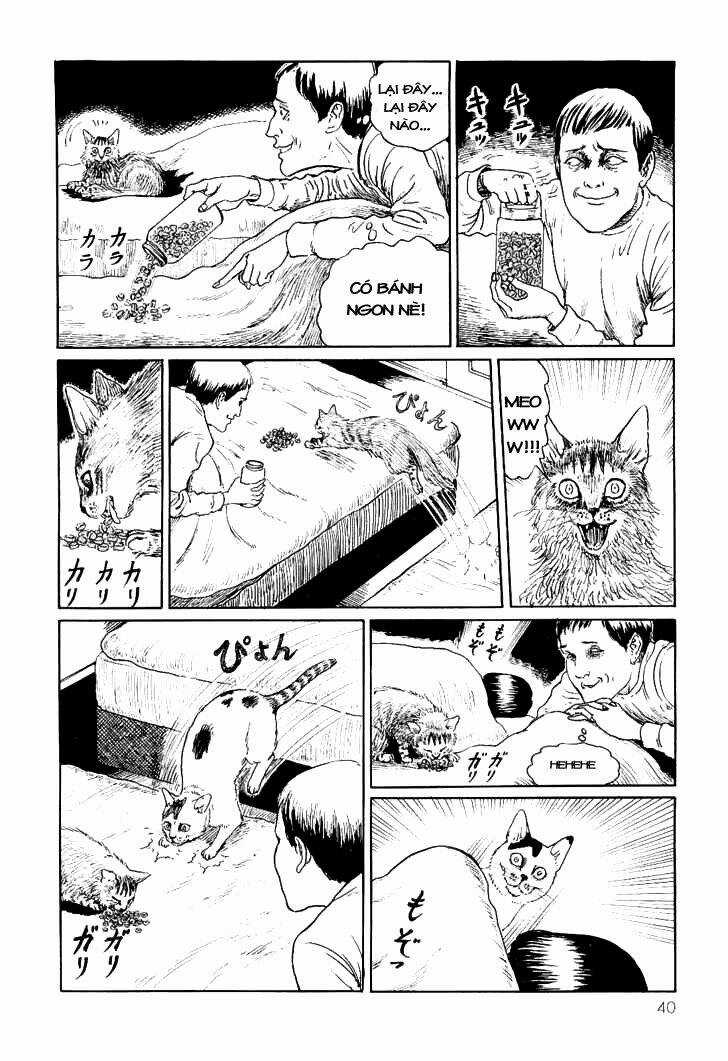 Ito Junji Cat's Diary Chapter 4 trang 5