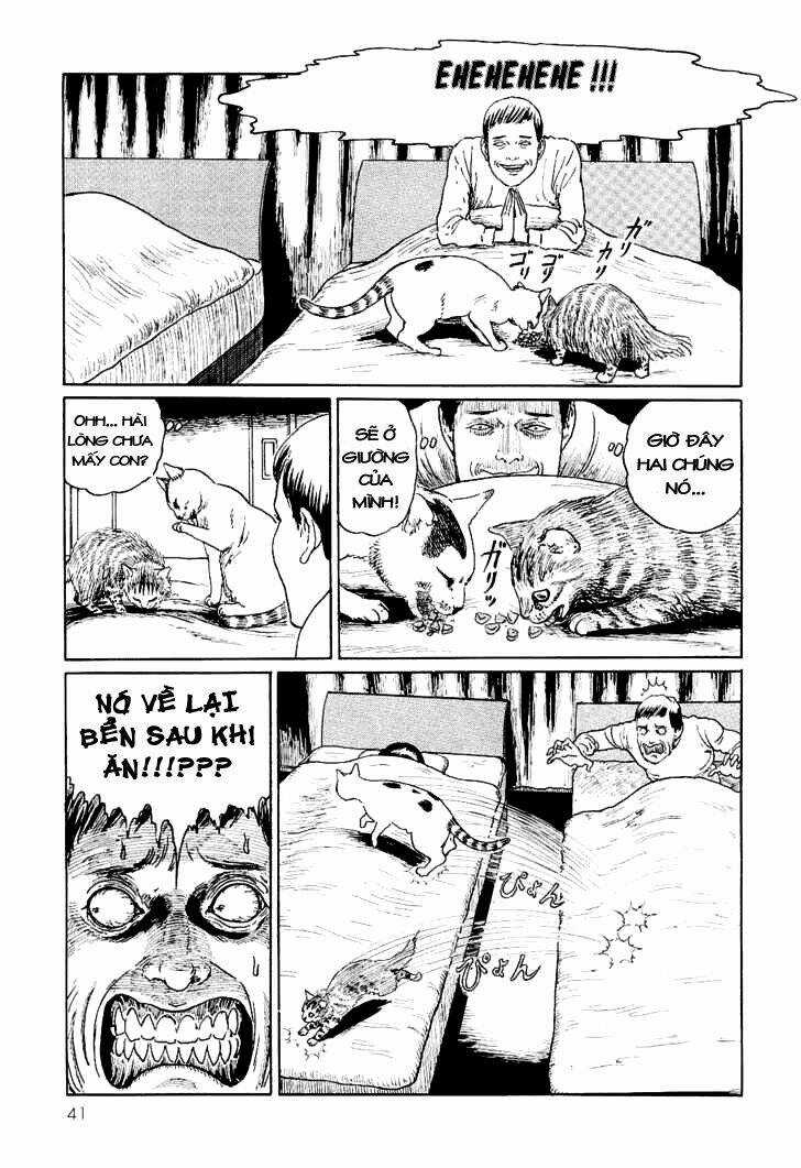 Ito Junji Cat's Diary Chapter 4 trang 6