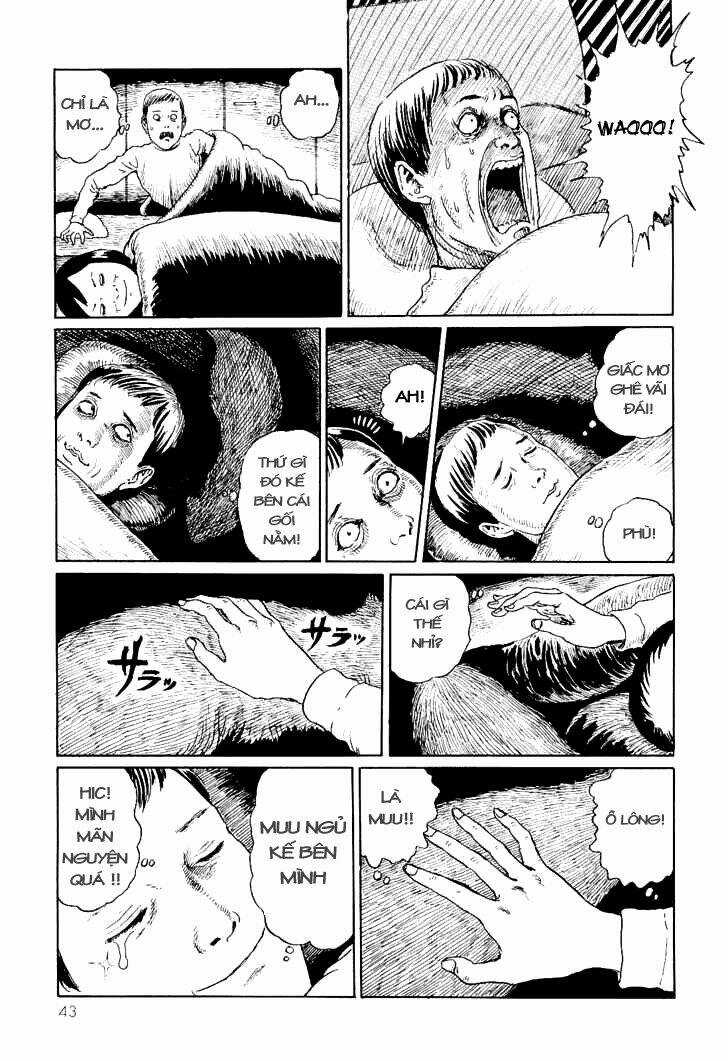 Ito Junji Cat's Diary Chapter 4 trang 8