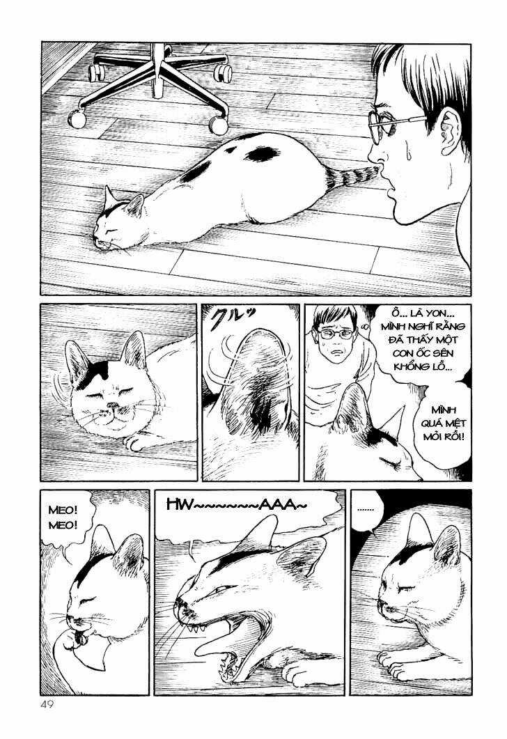 Ito Junji Cat's Diary Chapter 5 trang 2
