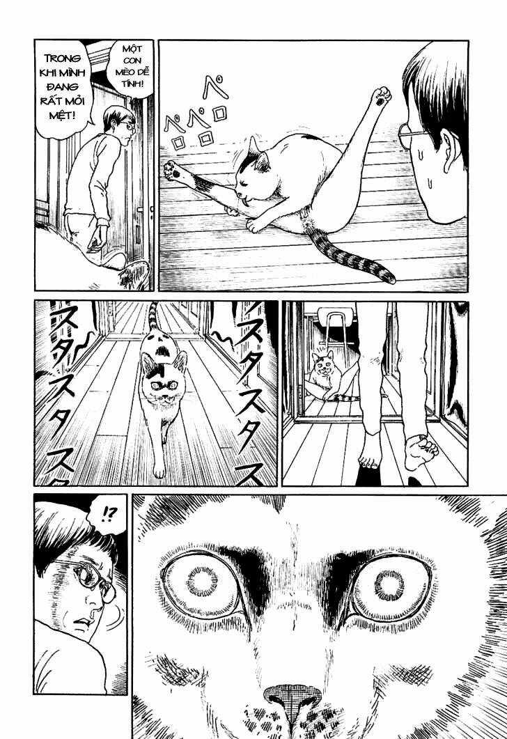 Ito Junji Cat's Diary Chapter 5 trang 3
