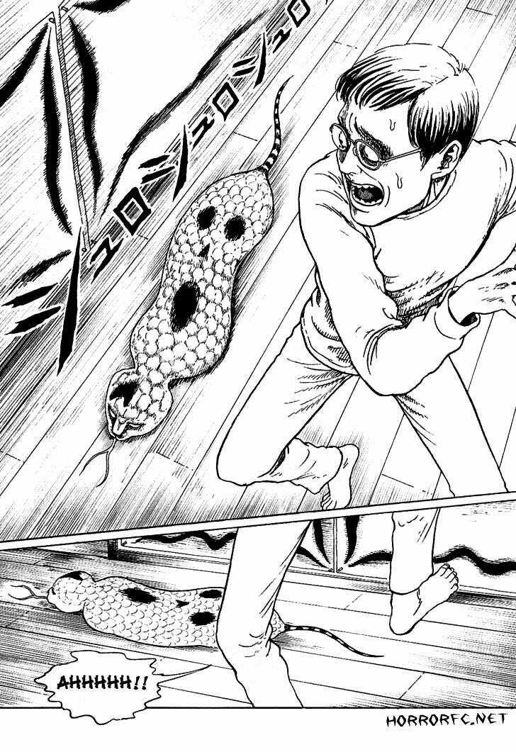 Ito Junji Cat's Diary Chapter 5 trang 4