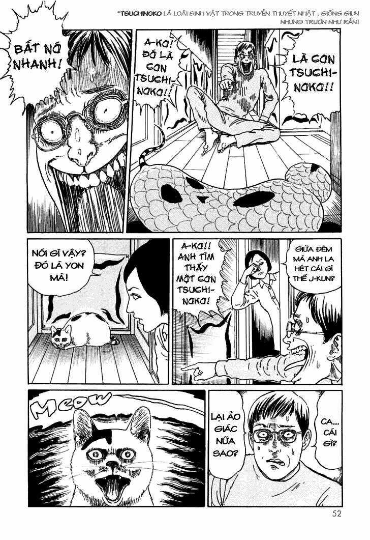 Ito Junji Cat's Diary Chapter 5 trang 5