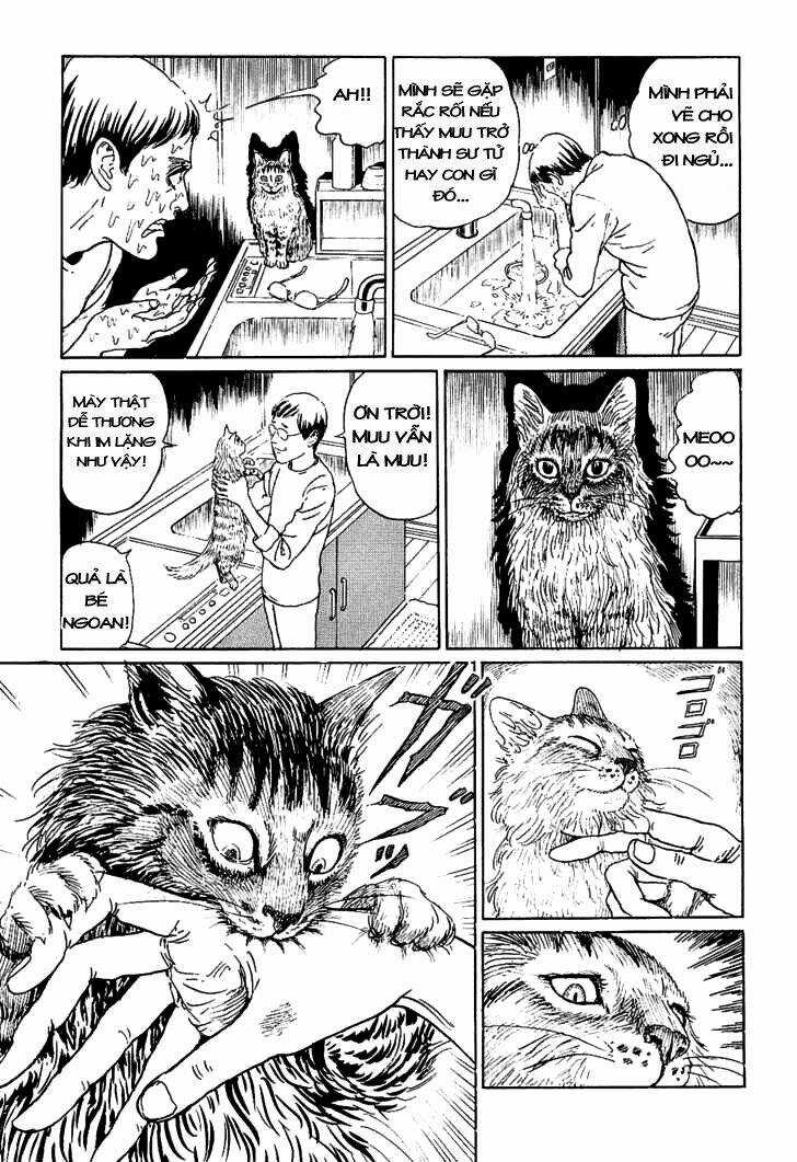 Ito Junji Cat's Diary Chapter 5 trang 6