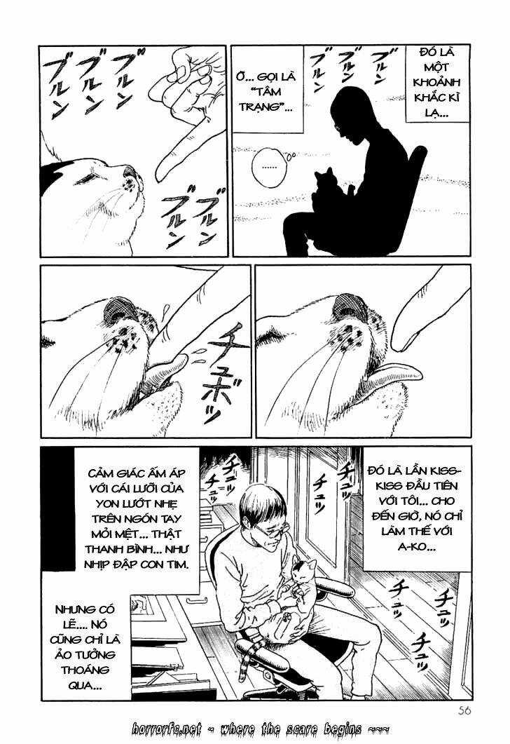 Ito Junji Cat's Diary Chapter 5 trang 9
