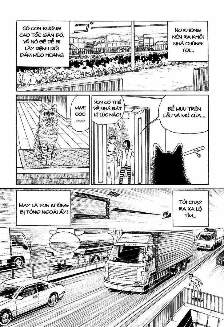 Ito Junji Cat's Diary Chapter 6 trang 2