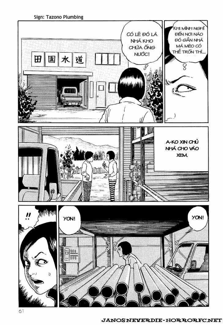 Ito Junji Cat's Diary Chapter 6 trang 4