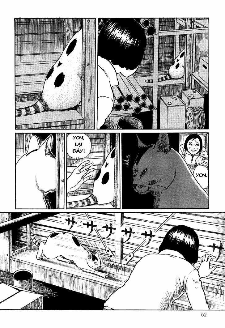 Ito Junji Cat's Diary Chapter 6 trang 5