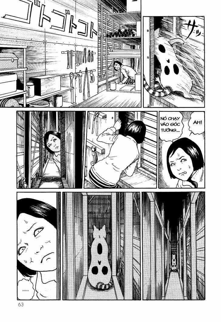 Ito Junji Cat's Diary Chapter 6 trang 6