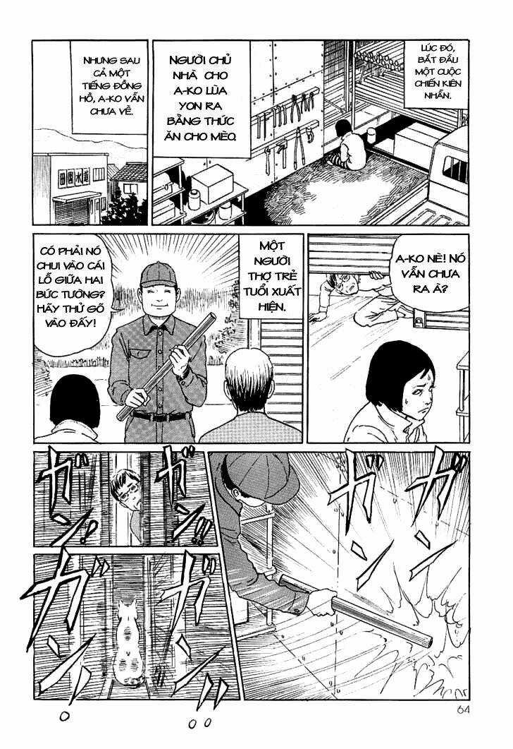 Ito Junji Cat's Diary Chapter 6 trang 7