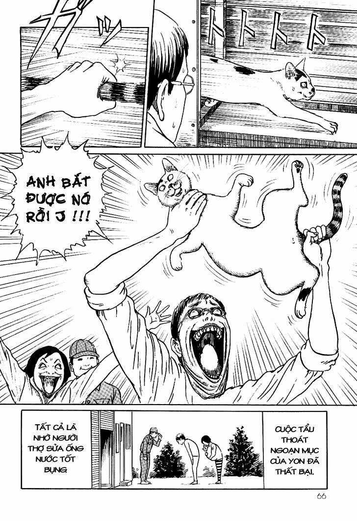 Ito Junji Cat's Diary Chapter 6 trang 9