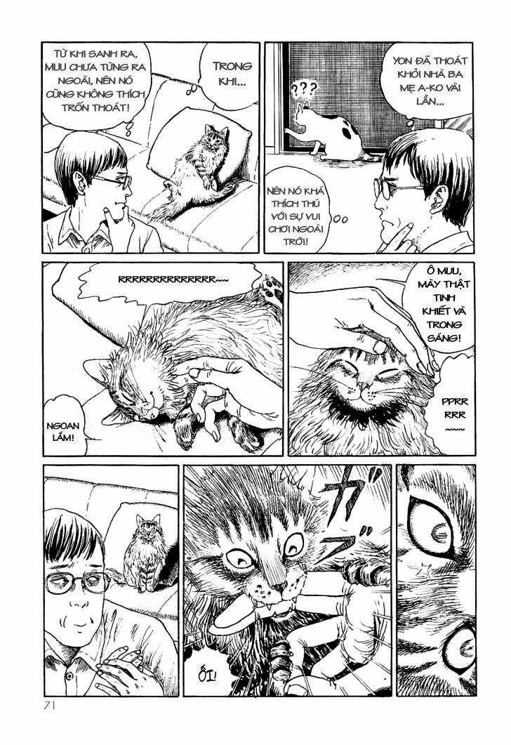 Ito Junji Cat's Diary Chapter 7 trang 2