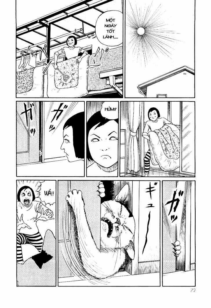 Ito Junji Cat's Diary Chapter 7 trang 3