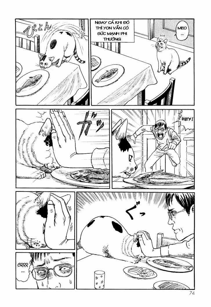Ito Junji Cat's Diary Chapter 7 trang 5