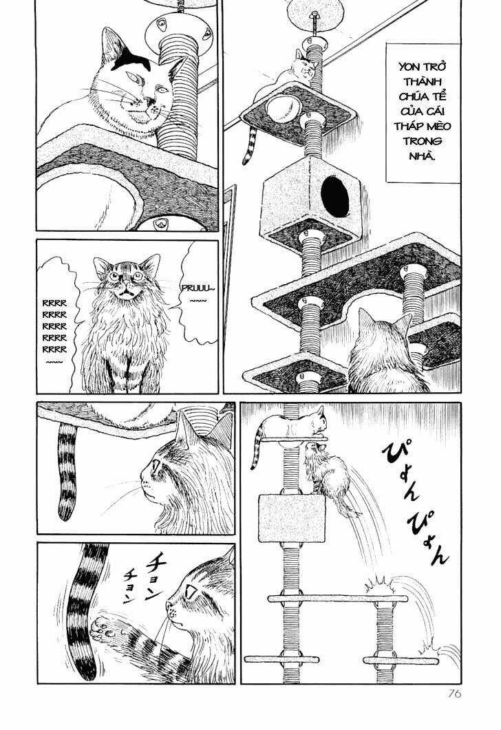 Ito Junji Cat's Diary Chapter 7 trang 7