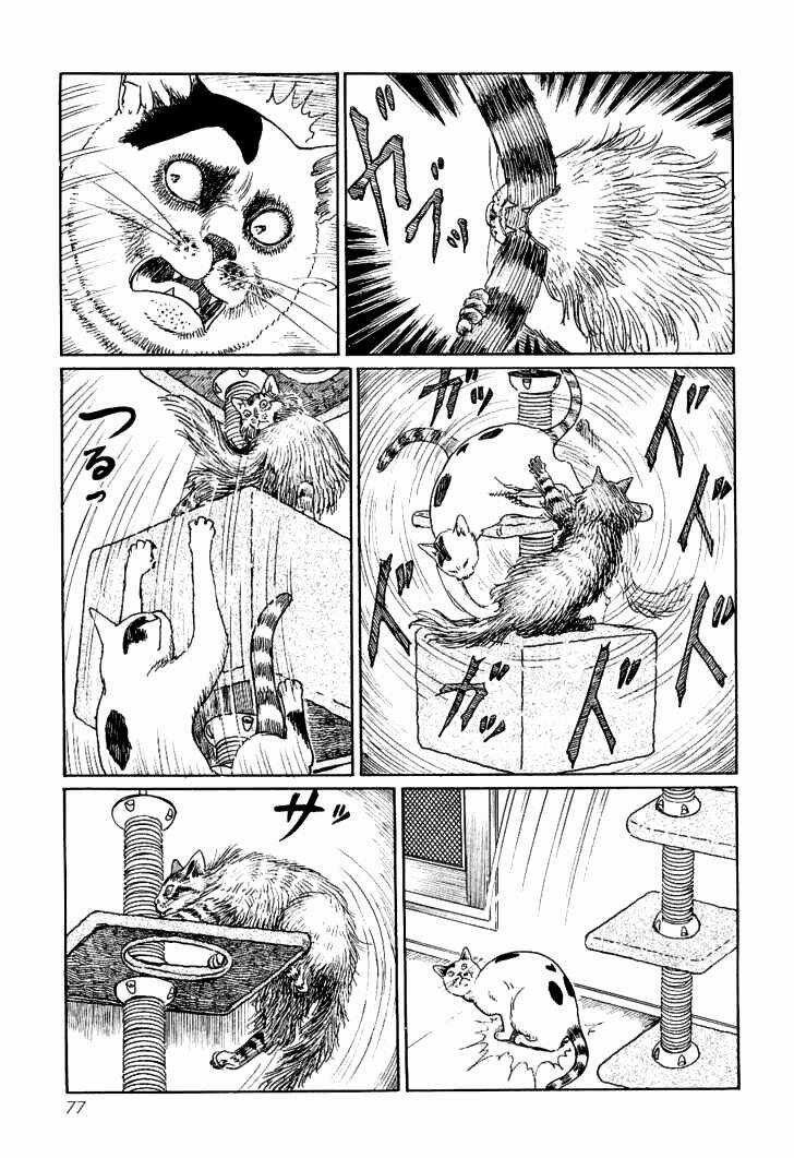 Ito Junji Cat's Diary Chapter 7 trang 8